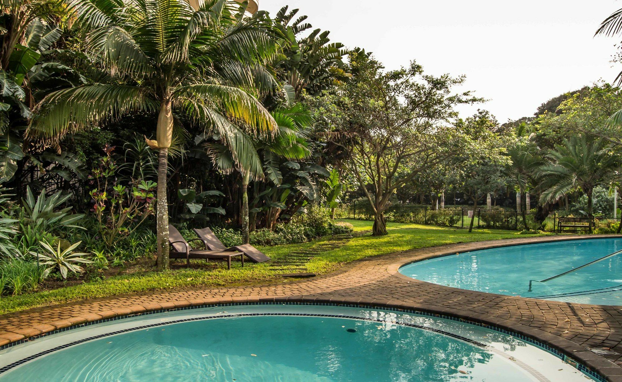 302 Oyster Schelles - By In Umhlanga *