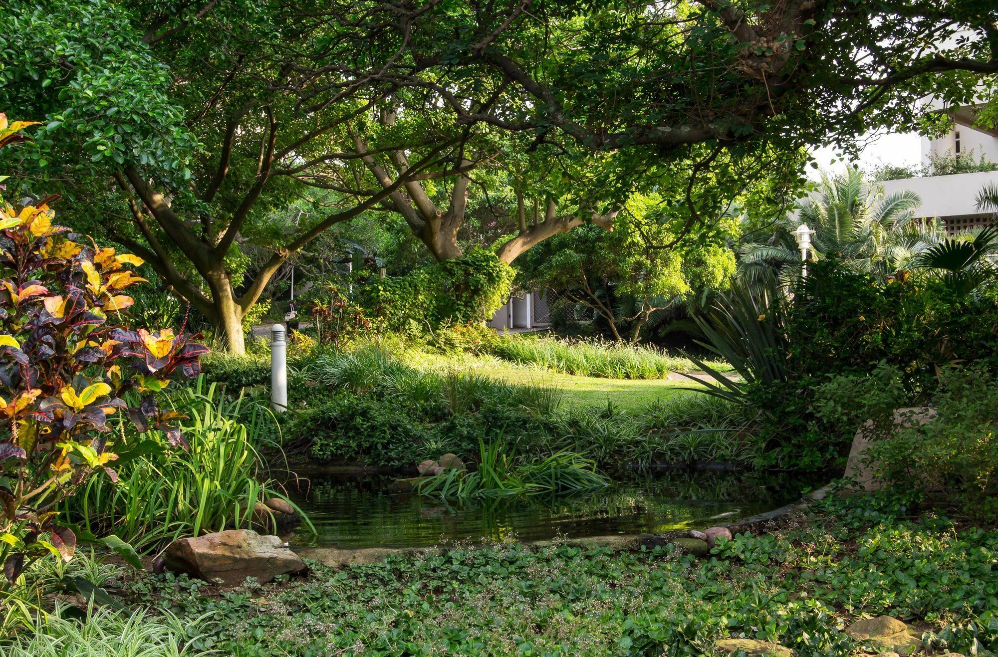 302 Oyster Schelles - By In Umhlanga *