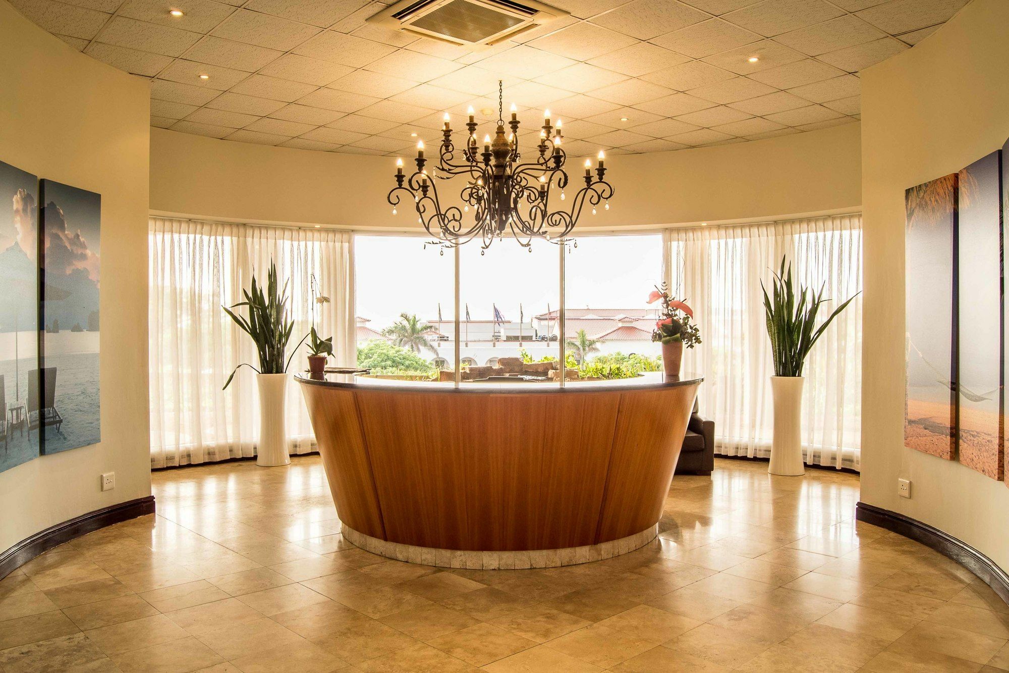 302 Oyster Schelles - By In Umhlanga *